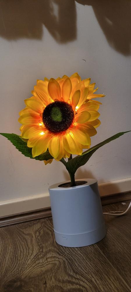 Sunflower Lamp - Customer Photo From Raquel