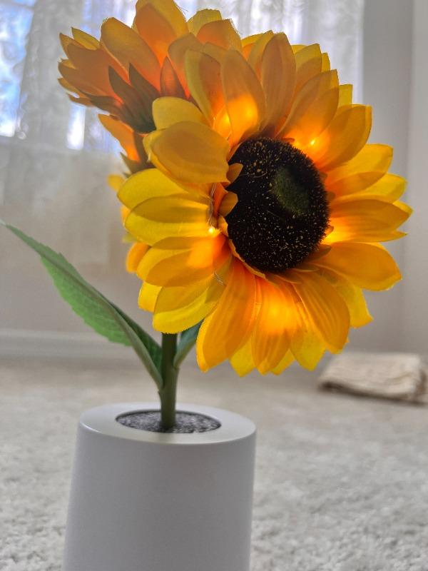 Sunflower Lamp - Customer Photo From Jules