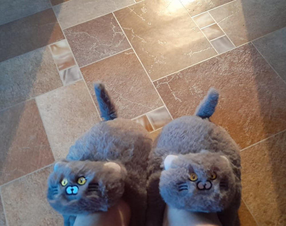 Hug Cat Slippers - Customer Photo From Fabiola S