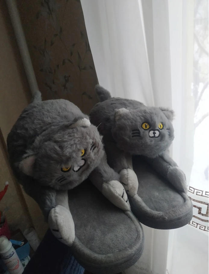 Hug Cat Slippers - Customer Photo From Raiza