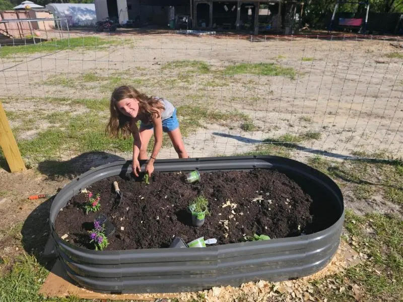 Screwless Raised Garden Bed | Zupapa