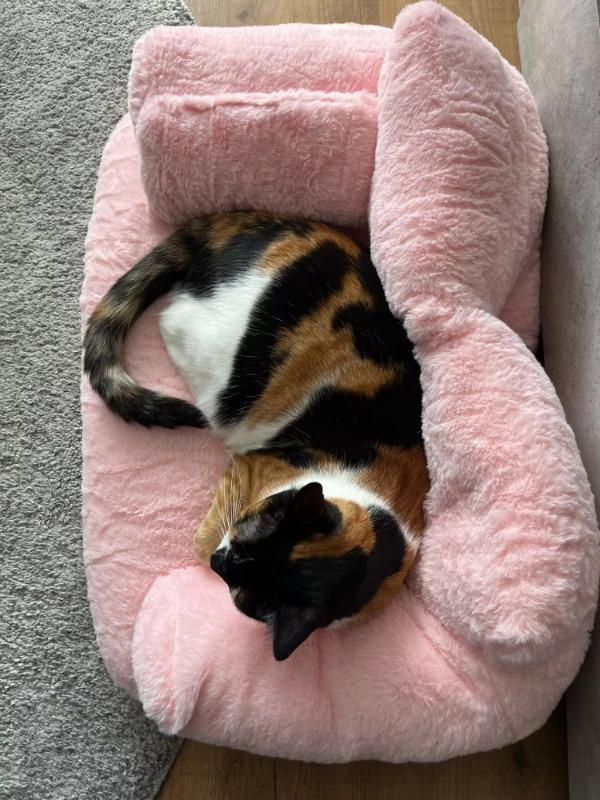 CATICO - Flauschige Katzencouch für einfache jede Katze - Customer Photo From Olivia A. 