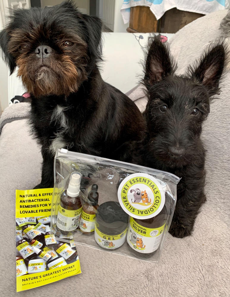 can you use colloidal silver on dogs ears