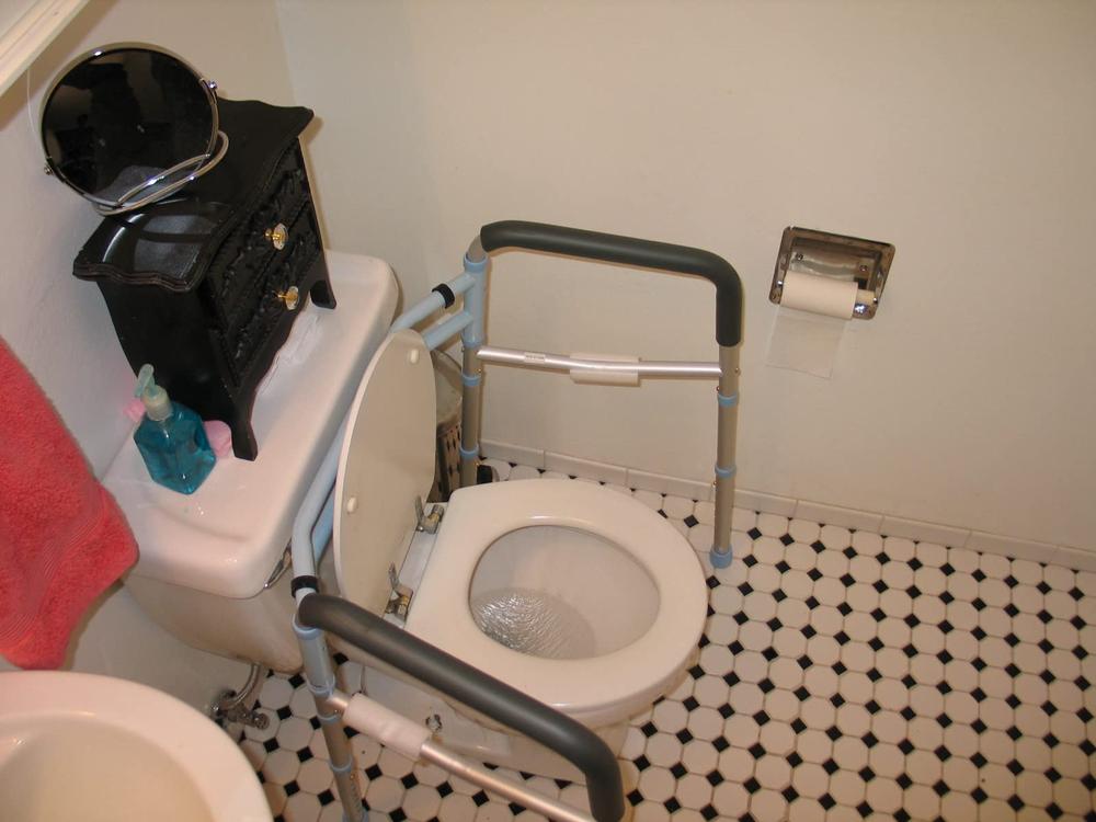 OasisSpace Stand Alone Toilet Safety Rail - Heavy Duty Medical Toilet  Safety Frame for Elderly, Handicap and Disabled - Adjustable Bathroom  Toilet