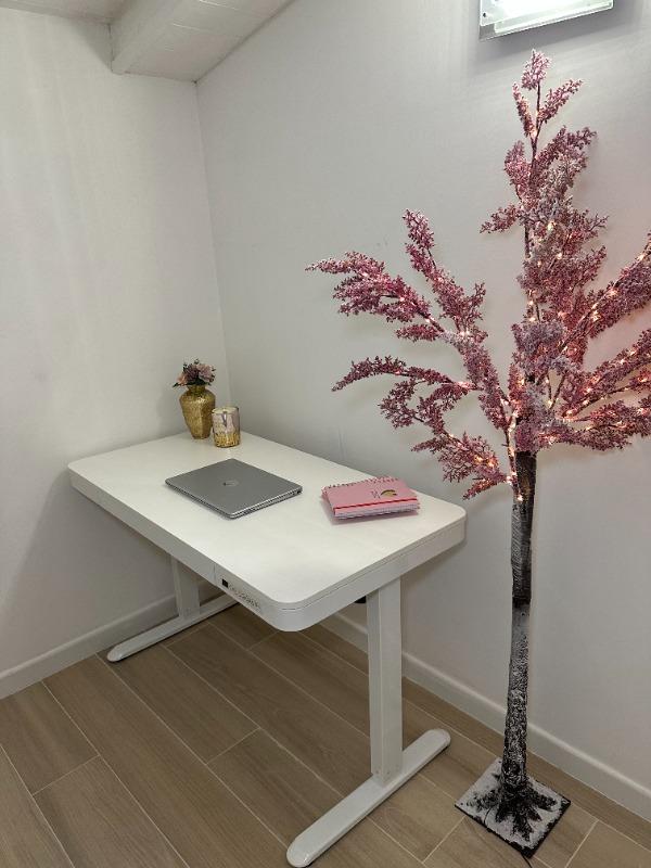 Höhenverstellbarer Schreibtisch mit Schubladen - Customer Photo From Neuromancer