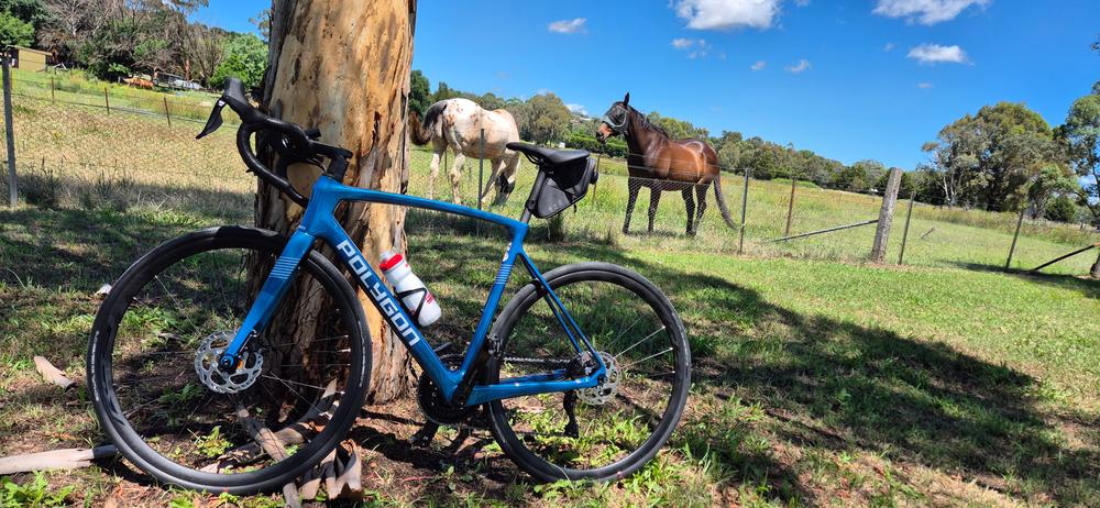 Polygon Strattos S7X - 105 Di2 Carbon Road Bike - Customer Photo From Miles