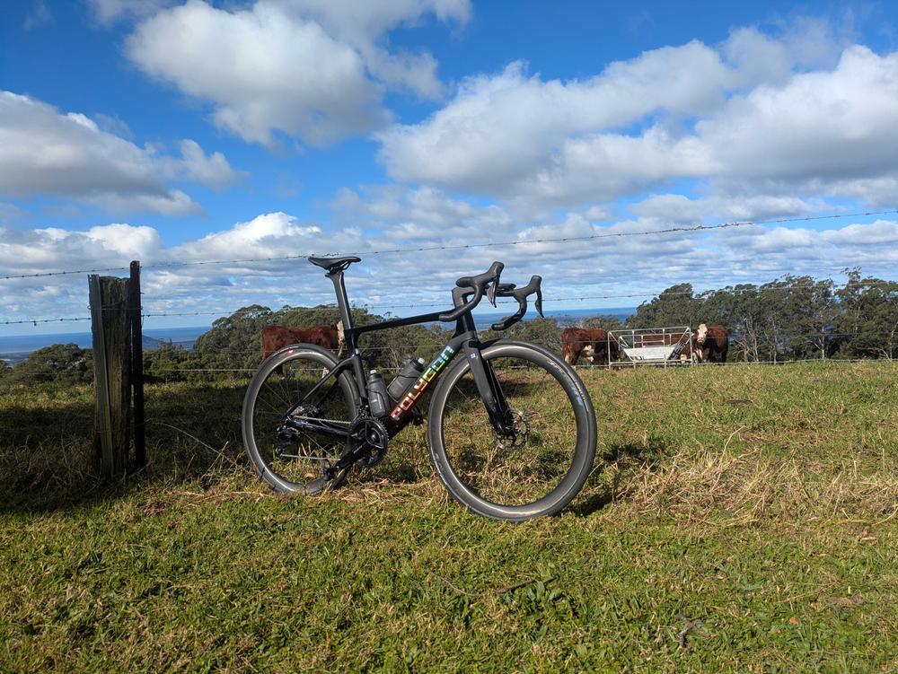 Polygon Helios A7 - 105 Di2 Carbon Road Bike - Customer Photo From Peter