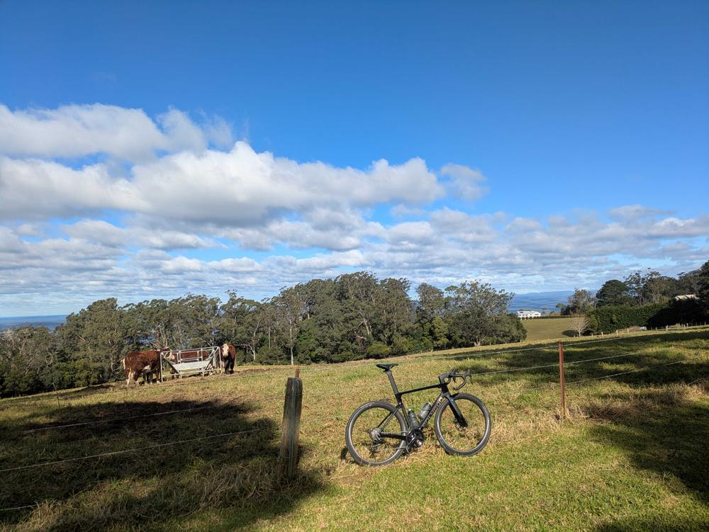 Polygon Helios A7 - 105 Di2 Carbon Road Bike - Customer Photo From Peter
