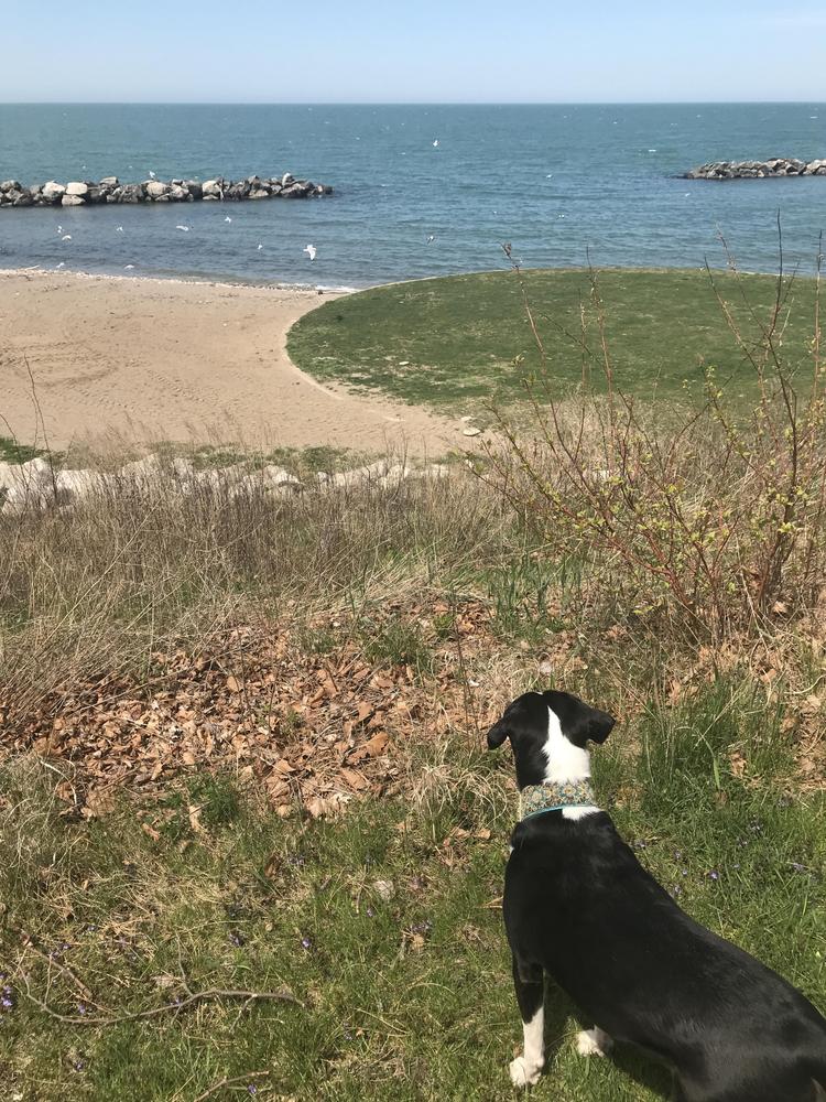 Red Vein Bali Kratom Powder - Customer Photo From Brontë