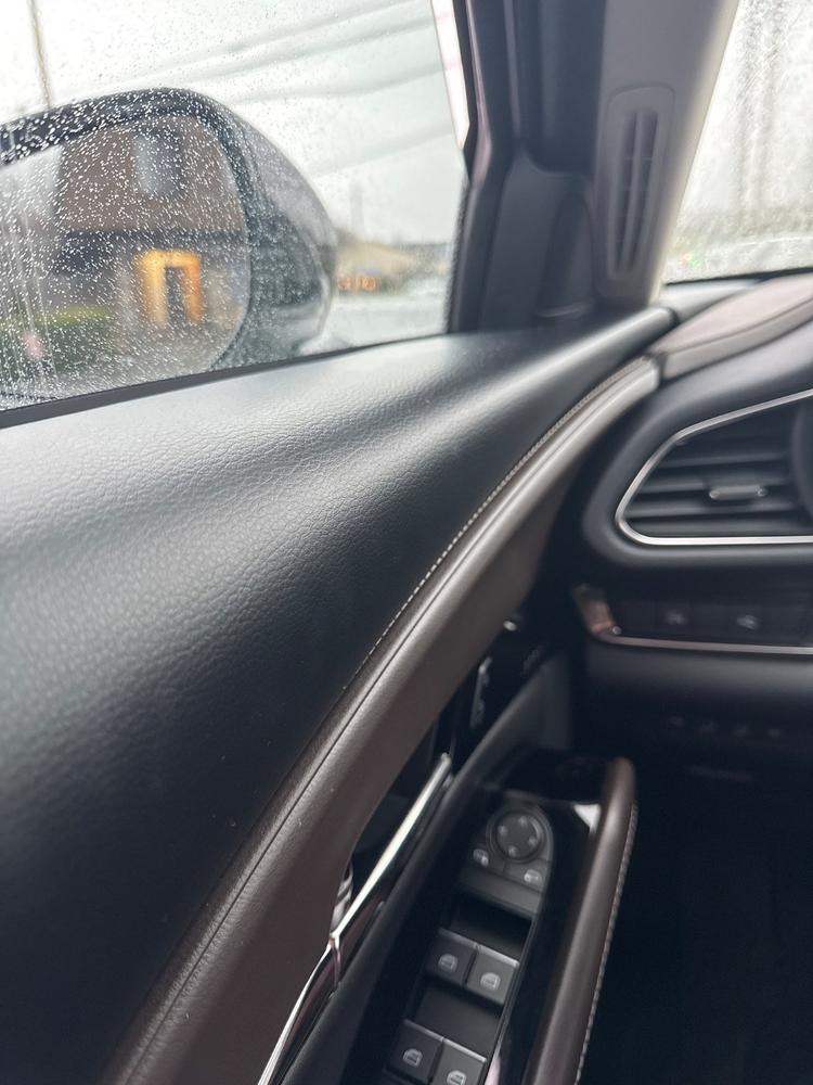 MAXL Interior Detailer - Customer Photo From Kathryn Reed
