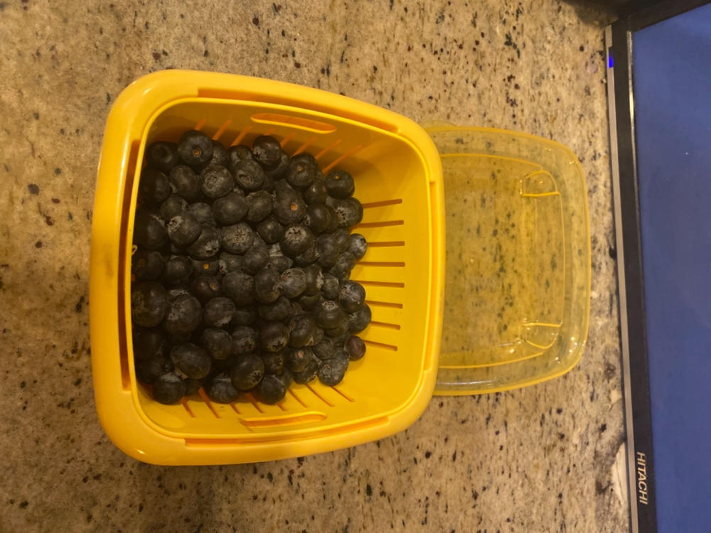 Shoppers Say This Nifty Container Is a 'Money Saver,' and Can Keep Berries  Fresh for '5 Weeks