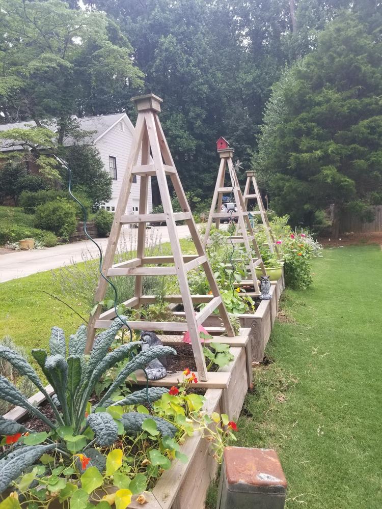 Soil³ Veggie Mix in a BigYellowBag - Customer Photo From Roseann Blacher
