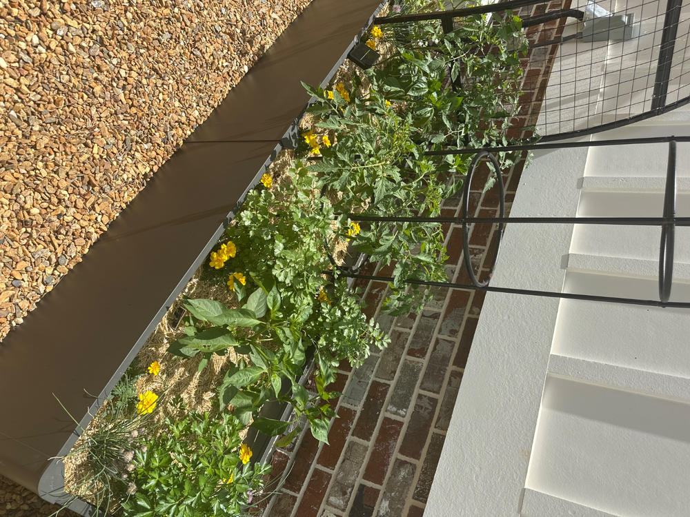 Soil³ Humus Compost in a BigYellowBag - Customer Photo From Stacy Underwood