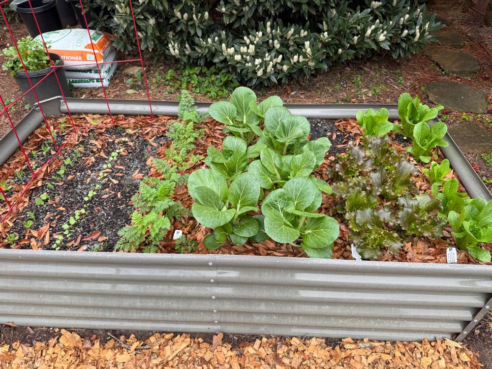 Soil³ Humus Compost in a BigYellowBag - Customer Photo From Thomas Barrow