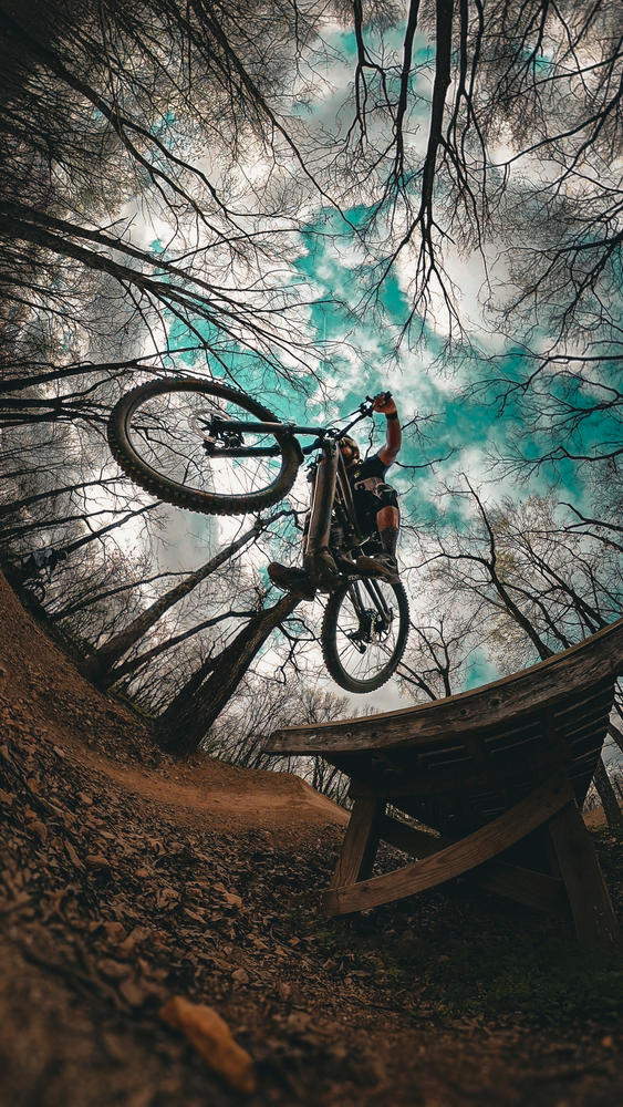 Polygon Collosus N8E - E-Mountain Bike - Customer Photo From David Acevedo