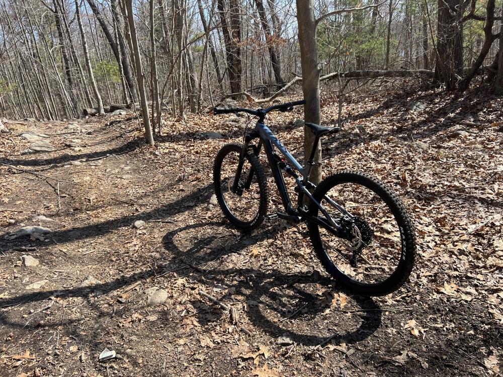 Polygon Siskiu T6 - Mountain Bike - Customer Photo From Malcolm Baden