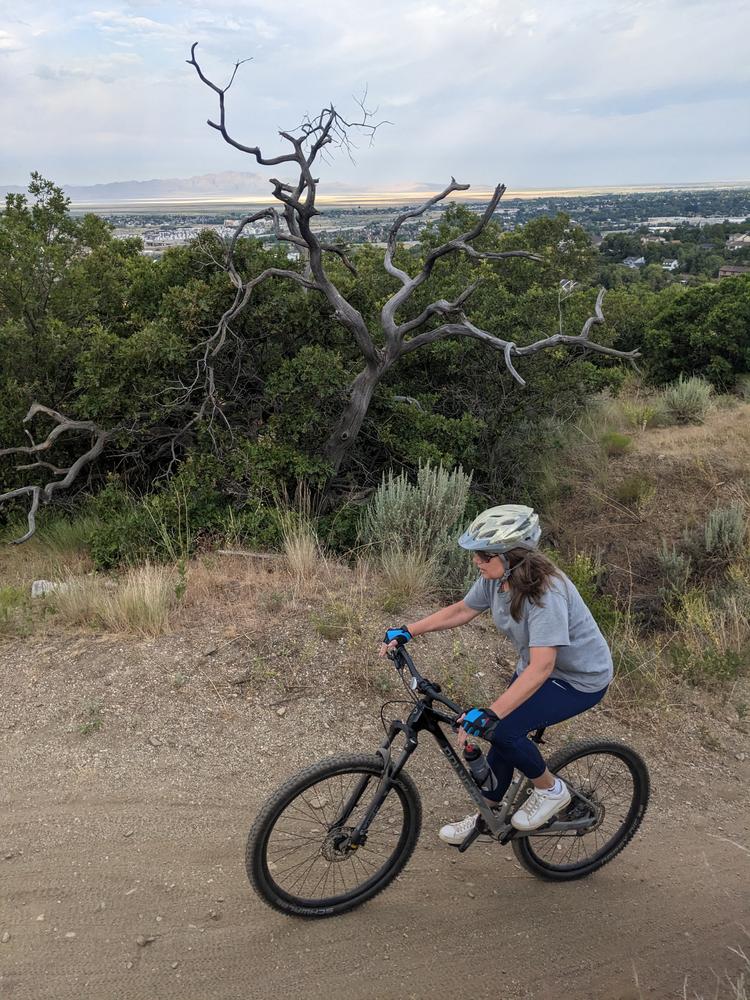 Polygon Xtrada 7 - Mountain Bike - Customer Photo From Craig Savage