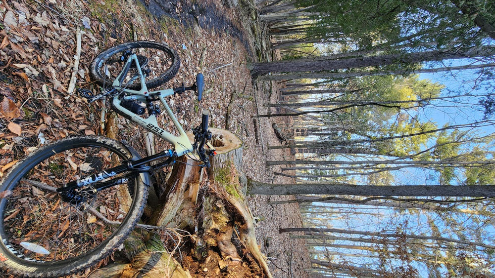 Ex-Demo Intense 951 Series Trail Carbon Bike (UDH) - Customer Photo From Gilberto Arciniaga