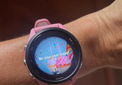 Garmin Forerunner 265 GPS Watch – Holabird Sports