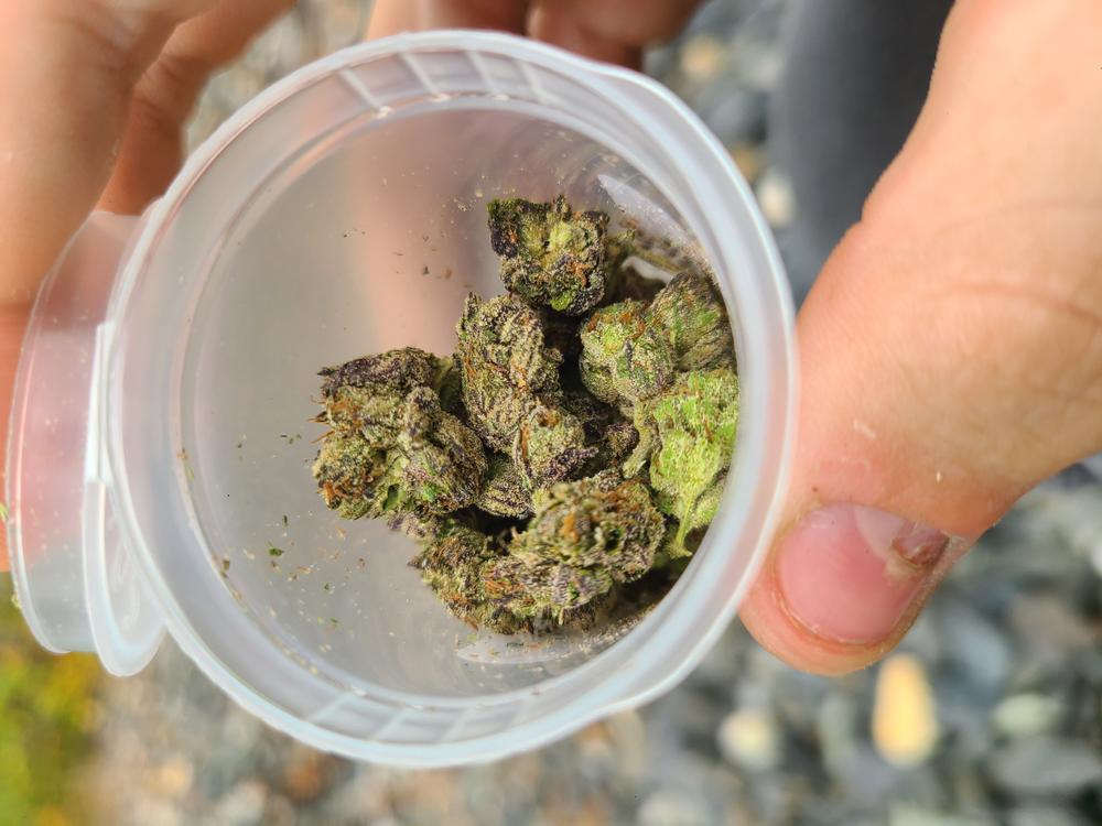 Lemon Cherry Gelato • Hybrid • 23.5% THCa • Greenhouse Flower - Customer Photo From Jack