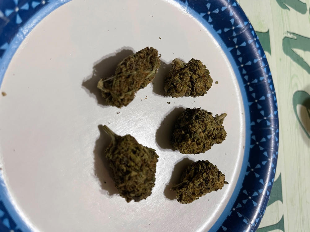 Mixed Batch • Assorted Budget THCa Flower Strains • 18.3-27.16% THCa - 3.5 Grams - Customer Photo From Mike Cosma