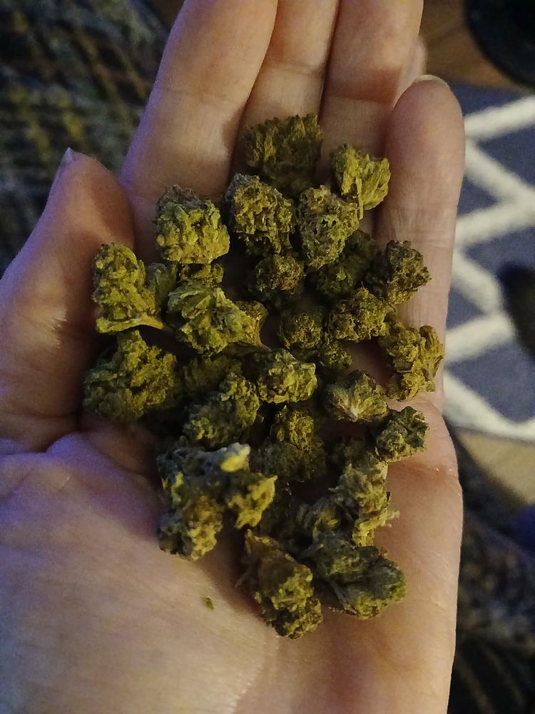 Mixed Batch • Assorted Budget Flower Strains • 18.3-27.16% THCa - 7 Grams - Customer Photo From Brenda Hogue