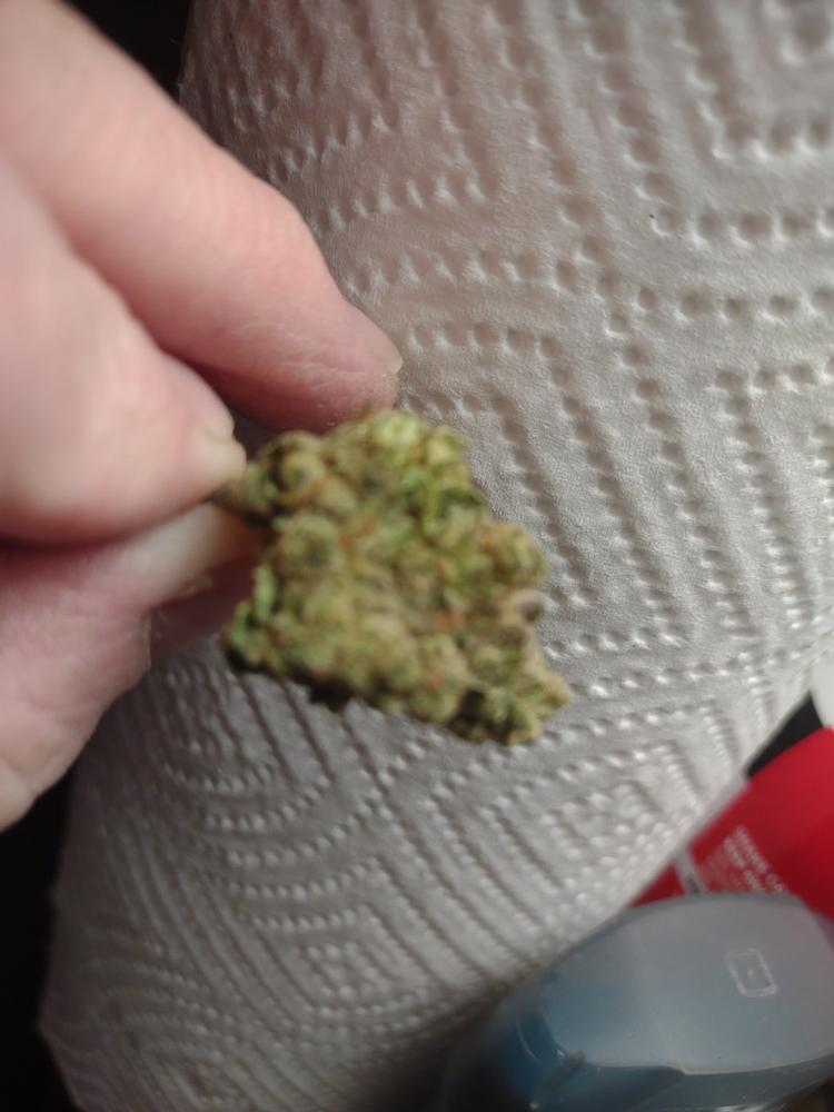AK47 • Sativa Hybird • Greenhouse Flower • 27.97% THCa - 28 Grams • Small Buds - Customer Photo From les Stephenson