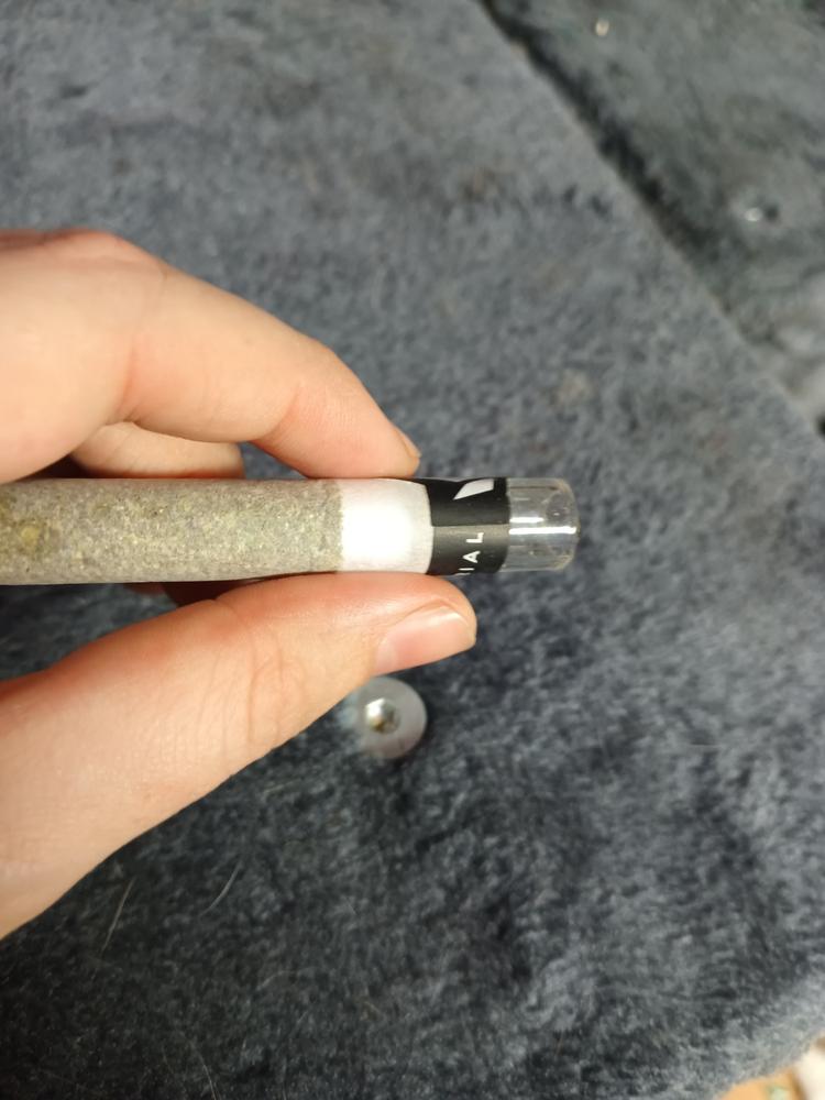 GAS LOVERS INDICA THCA PREROLL 3-PACK - Customer Photo From Kris Howard