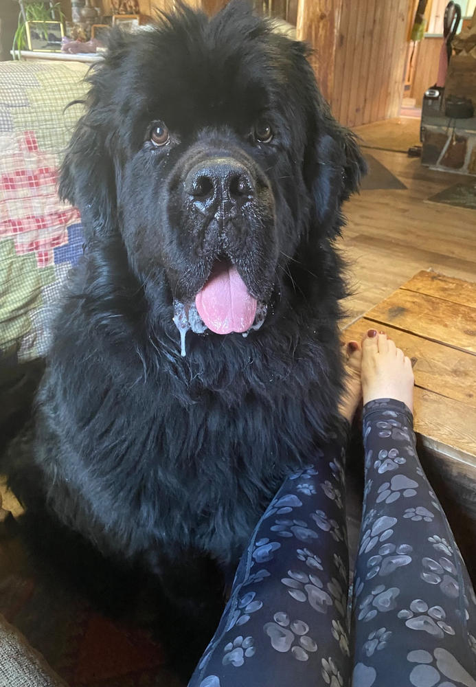 Paws Off Leggings | Shadow - Customer Photo From Anonymous