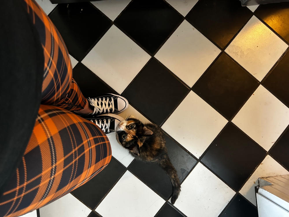 Pumpkin Patch Plaid Leggings - Customer Photo From Samantha Normington