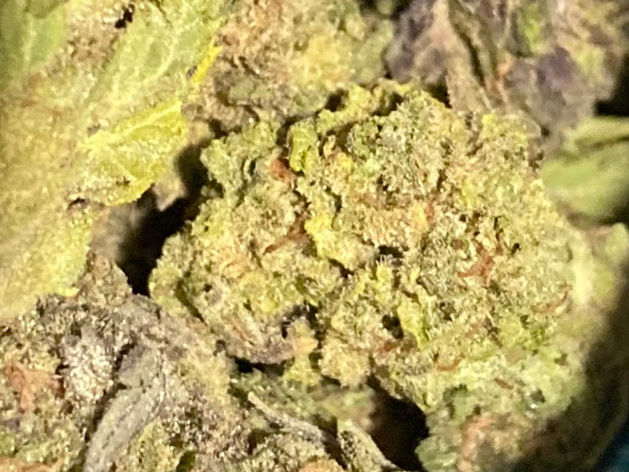 Organic Greenhouse - Bud - 28G - Customer Photo From Jesse Malenfant