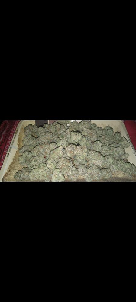 Death Bubba - Smalls - 28G - Customer Photo From Tyler McGrath