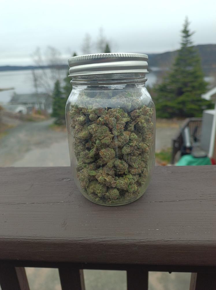 Frumpz - Smalls - 28G - Customer Photo From casey lawless