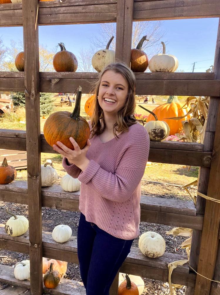 Womens Highline Cotton Light V-Neck Sweater | Organic Cotton