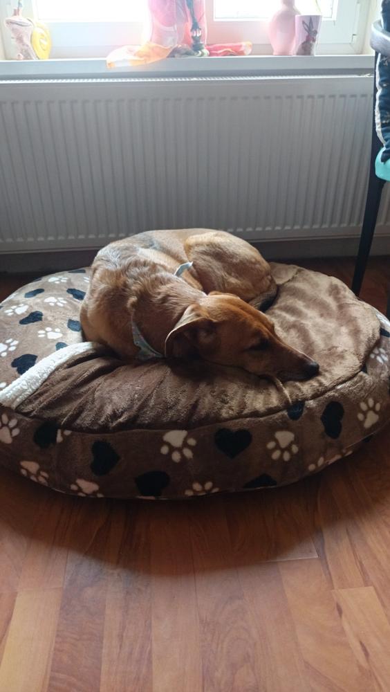 Arthrocol Mobility Senior izületvédő folyadék - 500 ml - Customer Photo From Beatrix Csornay