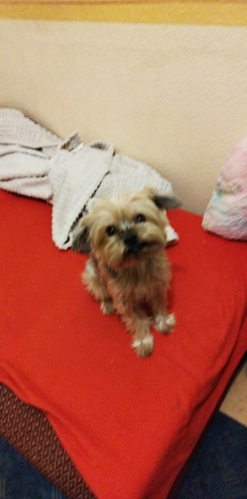 Légcsővédelem csomag - Kis csomag: 30ml DMG + 250ml Vitarior - Customer Photo From Anita Karanedeff-Újj