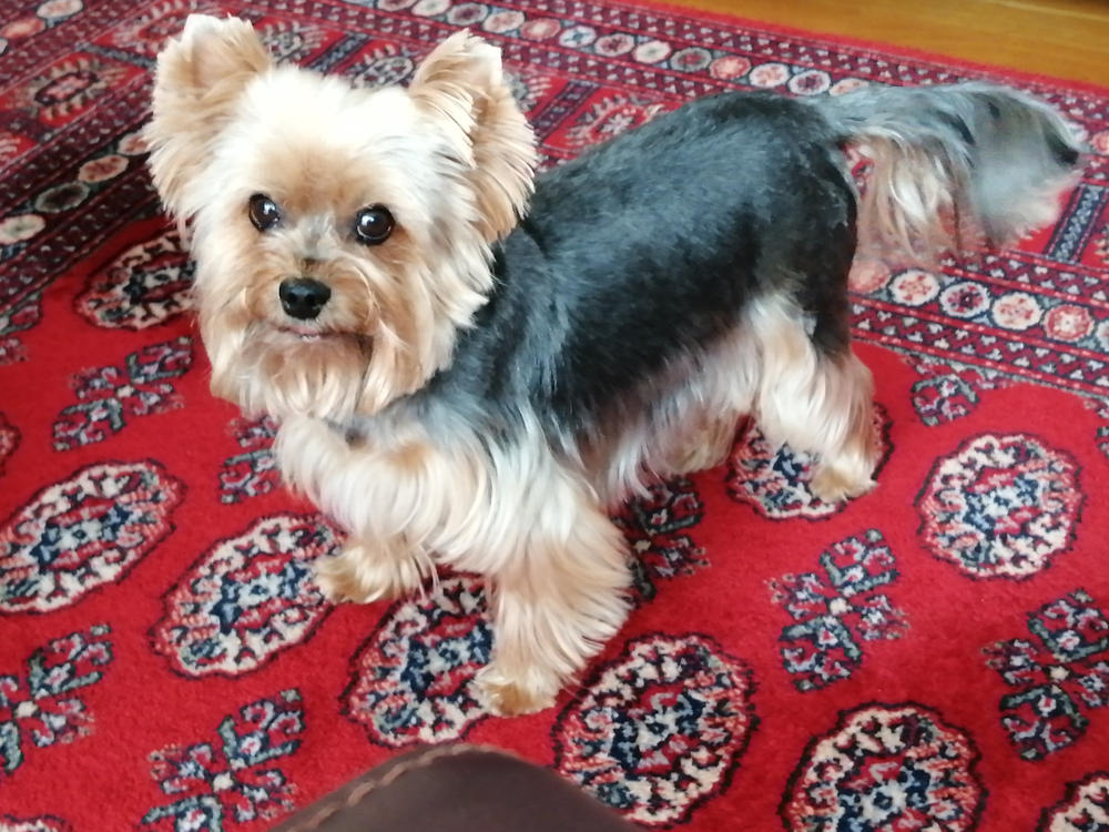 Légcsővédelem csomag - Kis csomag: 30ml DMG + 250ml Vitarior - Customer Photo From Andrásné Havas