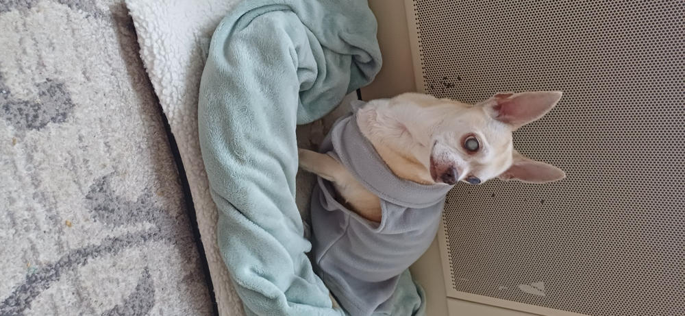 Légcsővédelem csomag - Kis csomag: 30ml DMG + 250ml Vitarior - Customer Photo From Mónika Gelencsér