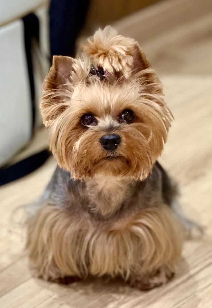 Légcsővédelem csomag - Kis csomag: 30ml DMG + 250ml Vitarior - Customer Photo From Szilvia Szántó