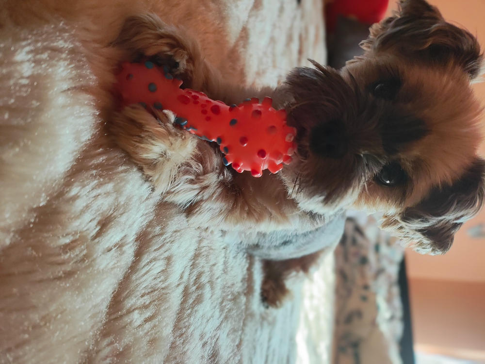 Légcsővédelem csomag - Kis csomag: 30ml DMG + 250ml Vitarior - Customer Photo From Renâta Vargyas