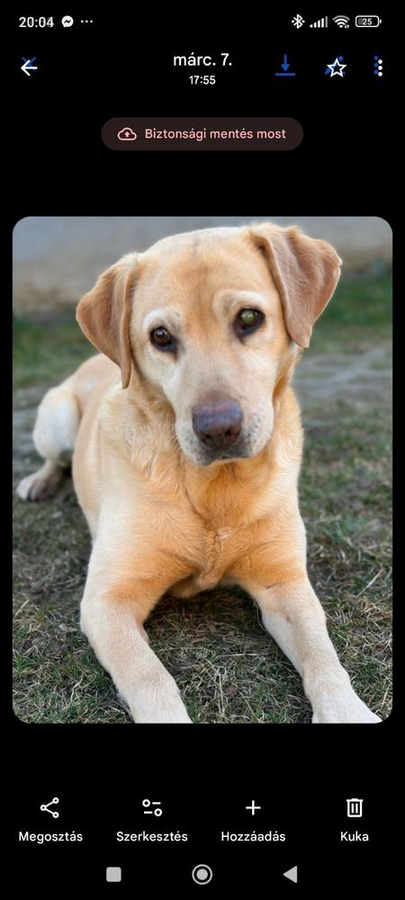 NORDCANIN VITARIOR ízületvédő folyadék - 500 ml - Customer Photo From Gáborné Bíró