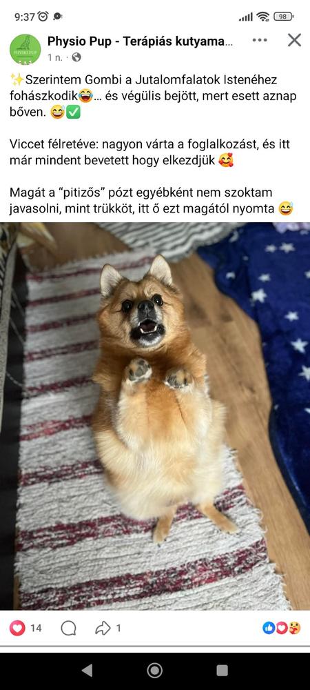 NORDCANIN VITARIOR ízületvédő folyadék - 500 ml - Customer Photo From Erika Túri