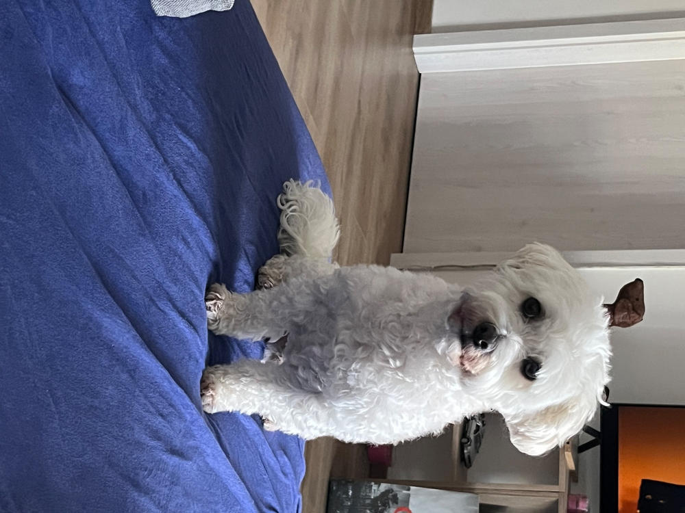 Nordcanin Fiberboost - prebiotikus rost - 1000 g - Customer Photo From Andrea Molnárné Toboz