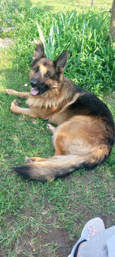 Nordcanin Fiberboost - prebiotikus rost - 300 g - Customer Photo From Annamária Törő