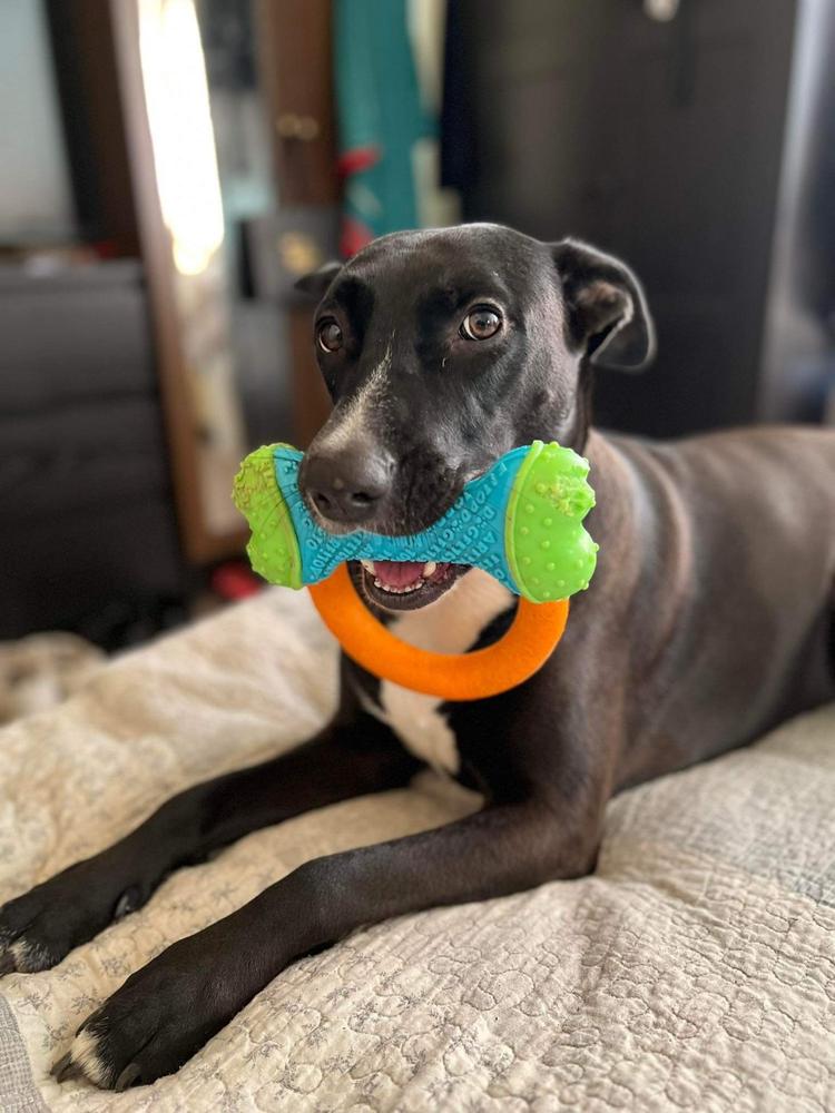 Nordcanin Fiberboost - prebiotikus rost - 300 g - Customer Photo From Anikó Gyene