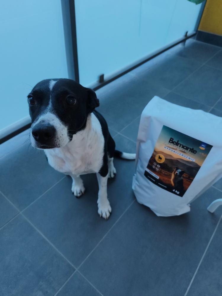 Belmante Hipoallergén Bárányos Hidegen Préselt Táp - 12 kg (3x 4kg) - Customer Photo From Carlotta Regine