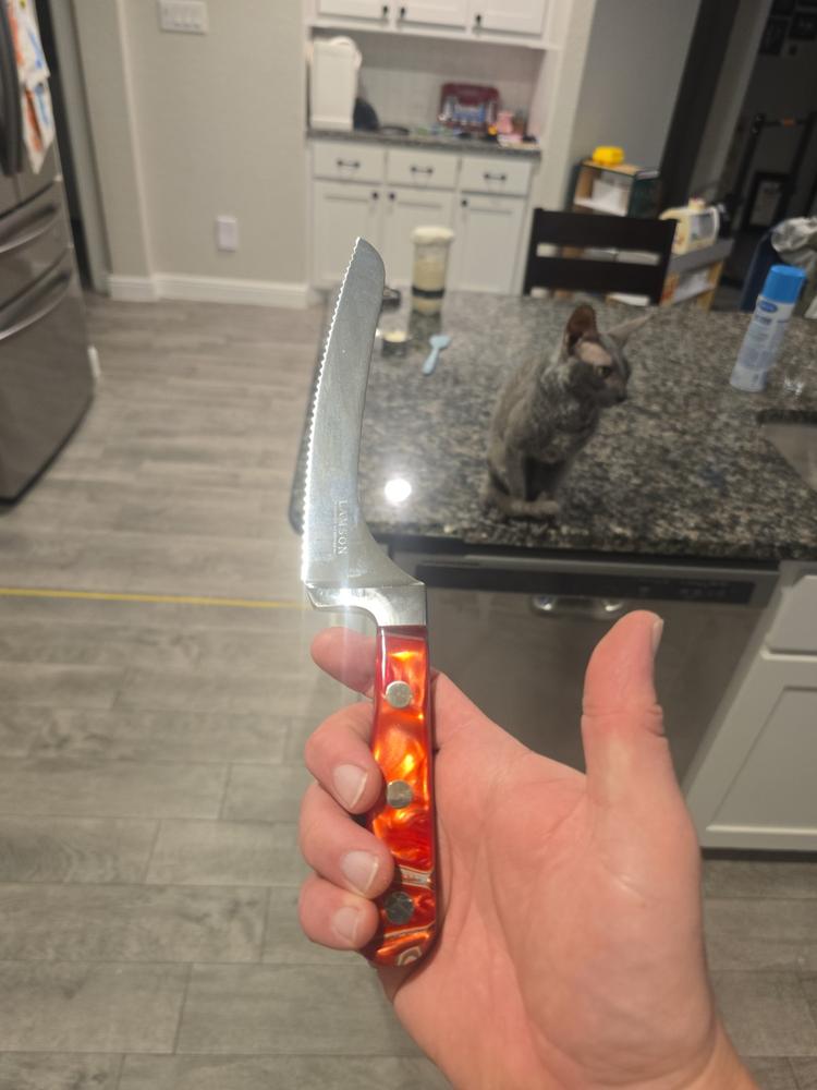 Premier Forged 7″ Offset Serrated Bread Knife - FIRE - Customer Photo From Joseph Meador