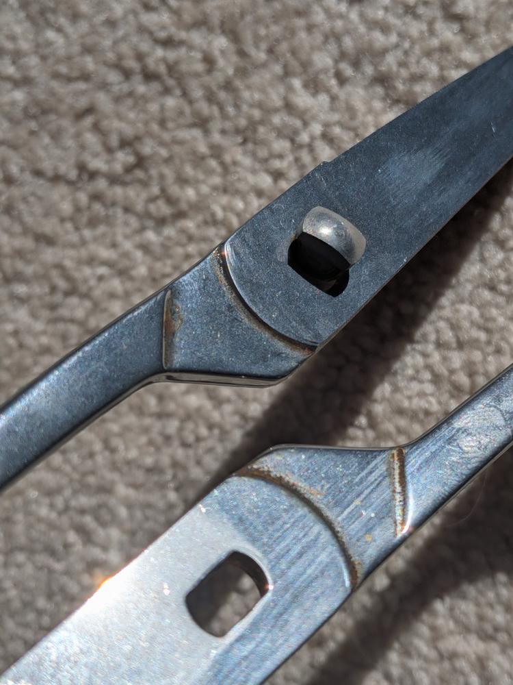 Forged Take-Apart Kitchen Shears - Customer Photo From Anonymous