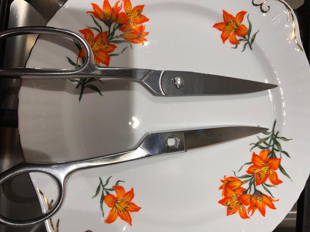 Forged Take-Apart Kitchen Shears - Customer Photo From Anonymous