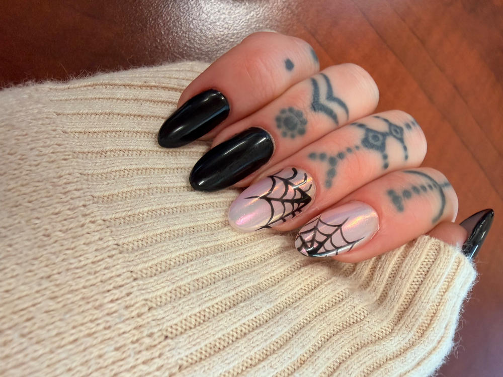 BLINKForms | Universal | 48 pcs - Customer Photo From Hailey Wiedrich